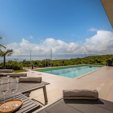 Villa Ameli Apartment With Swimming Pool Rijeka Exteriör bild